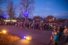 DSC_3595.jpg_compressed